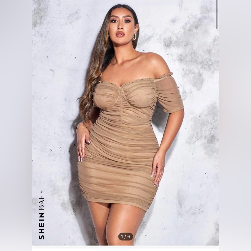 SHEIN BAE Plus Off Shoulder Ruched Mesh Bodycon Dress